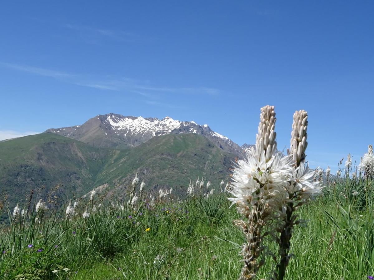 L'Ansloboys Montagne A2 Les Deux Alpes Exterior foto