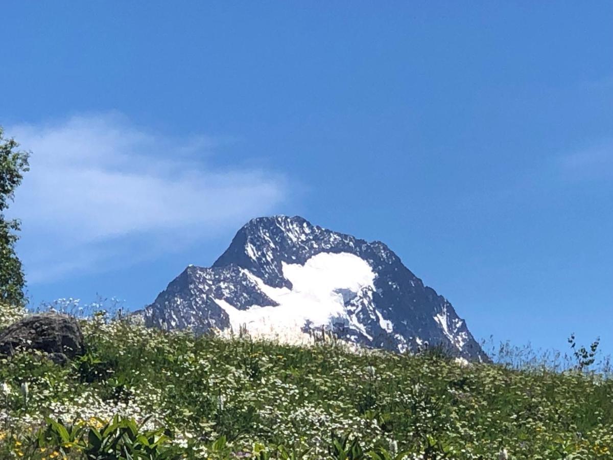 L'Ansloboys Montagne A2 Les Deux Alpes Exterior foto