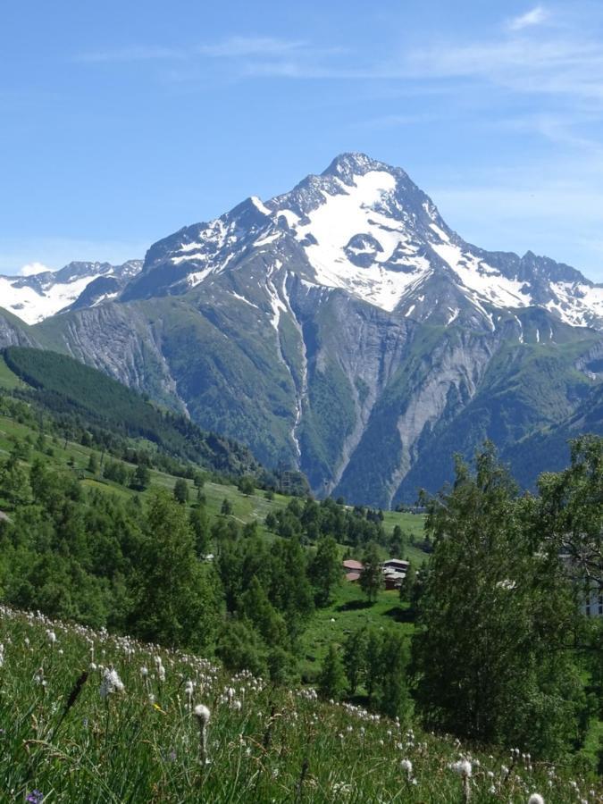 L'Ansloboys Montagne A2 Les Deux Alpes Exterior foto